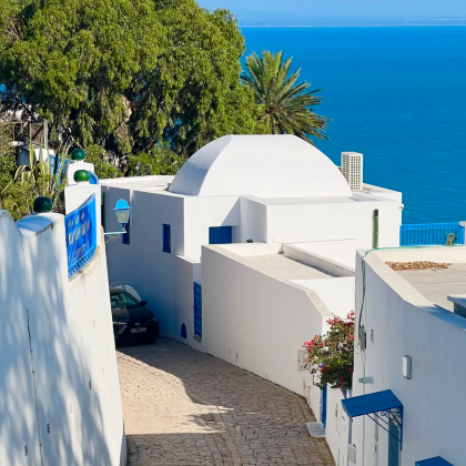 突尼斯+蓝白小镇+古罗马浴场+迦太基遗址一日游【私家专车】 突尼斯+蓝白小镇+古罗马浴场+迦太基遗址一日游【私家专车】