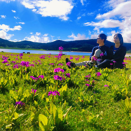 丽江文海+白沙古镇+雪嵩村(玉湖村)一日游 丽江文海+白沙古镇+雪嵩村(玉湖村)一日游