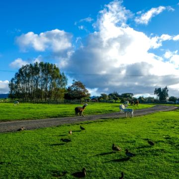 瑞士-苏黎世-格林德瓦梦幻山坡-龙疆-布里恩茨湖|中文司导 瑞士-苏黎世-格林德瓦梦幻山坡-龙疆-布里恩茨湖|中文司导
