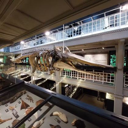 英国曼彻斯特博物馆+曼联足球俱乐部+伯明翰博物馆美术馆一日游 英国曼彻斯特博物馆+曼联足球俱乐部+伯明翰博物馆美术馆一日游