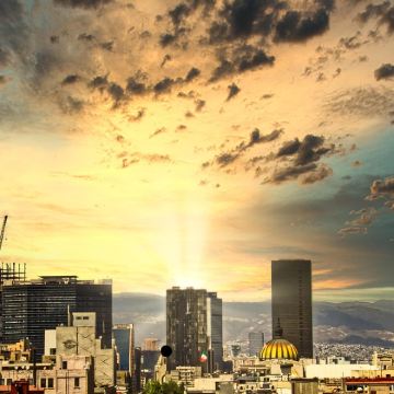 墨西哥城-帝王蝶自然保护区-中文专车【多/日游全日定制】 墨西哥城-帝王蝶自然保护区-中文专车【多/日游全日定制】