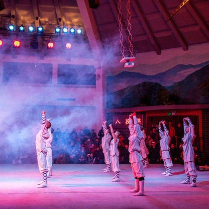 登封少林寺+三皇寨+【郑州】少林武术表演一日游 登封少林寺+三皇寨+【郑州】少林武术表演一日游