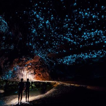 黄金海岸蓝光萤火虫夜游【可选天宝林/春溪国家公园·含接送】 黄金海岸蓝光萤火虫夜游【可选天宝林/春溪国家公园·含接送】