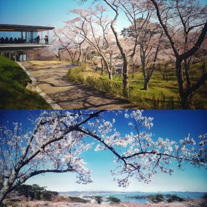 日本仙台松岛+仙台城迹+仙台大观音一日游 不含门票 日本仙台松岛+仙台城迹+仙台大观音一日游 不含门票