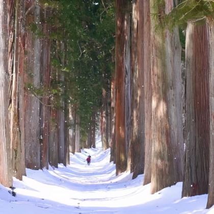 日本长野户隐神社私人旅游·当地导游陪同(11月至5月限定) 日本长野户隐神社私人旅游·当地导游陪同(11月至5月限定)