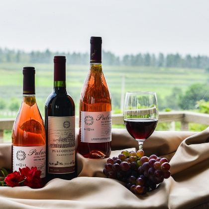 法国波尔多-龙船酒庄-力士金酒庄-男爵酒庄【酒庄包车一日游】 法国波尔多-龙船酒庄-力士金酒庄-男爵酒庄【酒庄包车一日游】