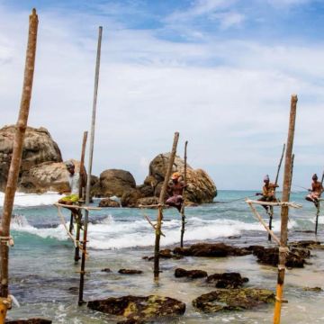 斯里兰卡科伦坡出发丨海边火车+高跷渔夫+加勒古堡一日游 斯里兰卡科伦坡出发丨海边火车+高跷渔夫+加勒古堡一日游