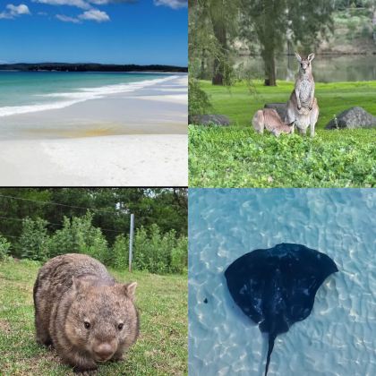 悉尼南线一日游|Gerringong&白沙滩&魔鬼鱼&袋鼠谷 悉尼南线一日游|Gerringong&白沙滩&魔鬼鱼&袋鼠谷