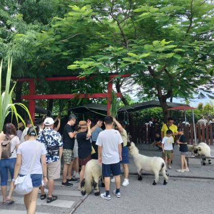 宜蘭經典遊:張美農場&清水地熱DIY(台北出發飯店接送) 宜蘭經典遊:張美農場&清水地熱DIY(台北出發飯店接送)