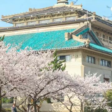武汉大学游玩-赏樱之旅【樱花开放参观预约】 武汉大学游玩-赏樱之旅【樱花开放参观预约】