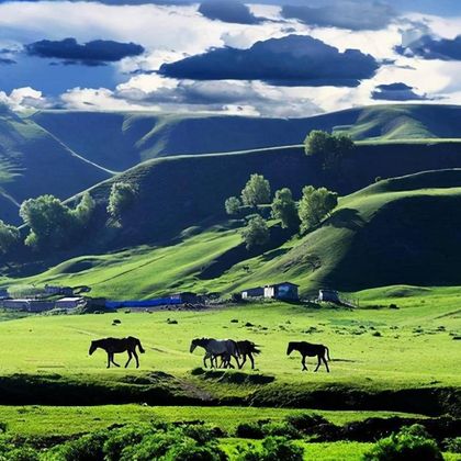 中国新疆伊宁市那拉提旅游风景区一日游