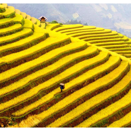 萨帕Instagram探险之旅——苗族文化与史诗般的拍照景点 萨帕Instagram探险之旅——苗族文化与史诗般的拍照景点