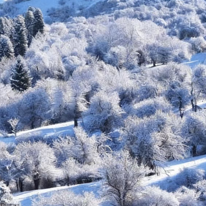 赛里木湖+果子沟一日游【雪山湖畔·云端公路一日行】 赛里木湖+果子沟一日游【雪山湖畔·云端公路一日行】
