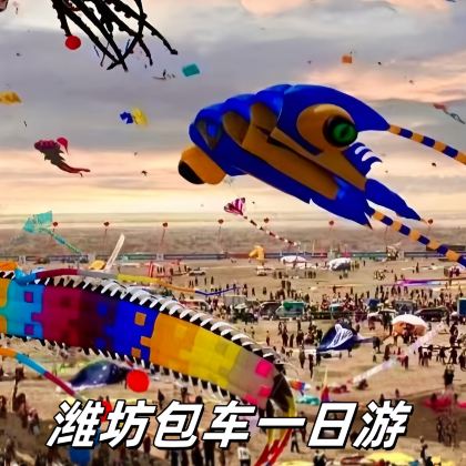 潍坊风筝博物馆+十笏园+坊茨小镇一日游【青州/寿光/高密】 潍坊风筝博物馆+十笏园+坊茨小镇一日游【青州/寿光/高密】