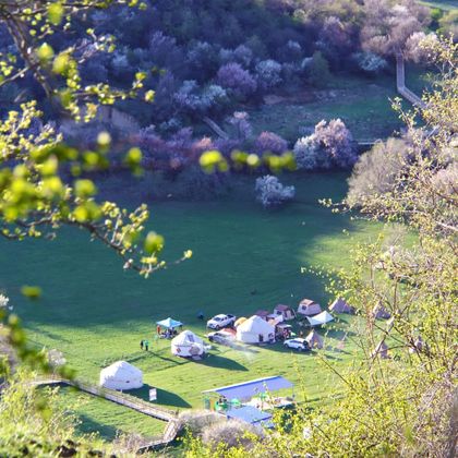 伊犁中华福寿山景区+解忧公主薰衣草园一日游