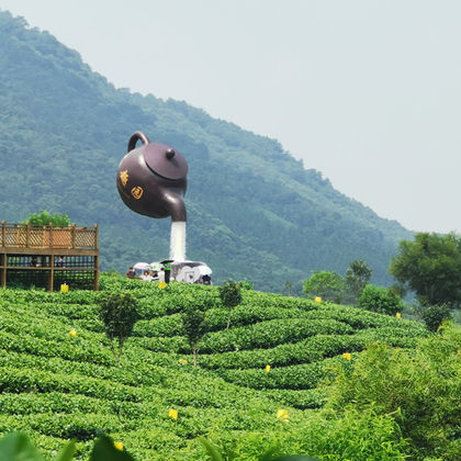 中国广东英德+茶趣园一日游