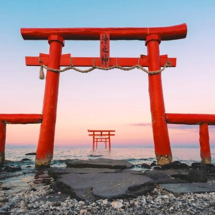 九州佐贺有田陶瓷公园+祐德稻荷神社+海中鸟居一日游丨草莓采摘 九州佐贺有田陶瓷公园+祐德稻荷神社+海中鸟居一日游丨草莓采摘