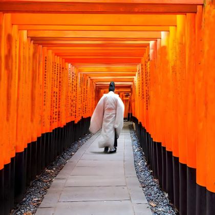 【京都&奈良&宇治一日游】奈良公园+伏见稻荷+平等院+抹茶街 【京都&奈良&宇治一日游】奈良公园+伏见稻荷+平等院+抹茶街