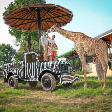 曼谷大城狮子王动物园+大城历史公园+玛哈泰寺遗址一日游 曼谷大城狮子王动物园+大城历史公园+玛哈泰寺遗址一日游