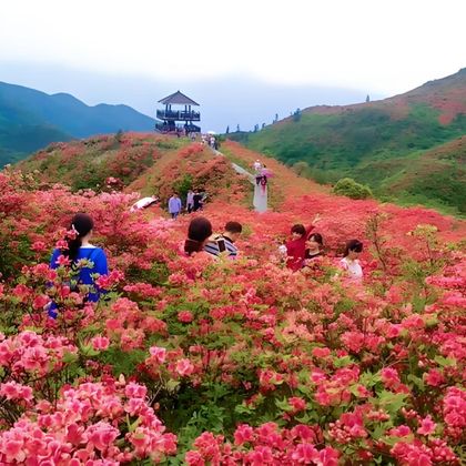中国湖南长沙大围山国家森林公园一日游 中国湖南长沙大围山国家森林公园一日游
