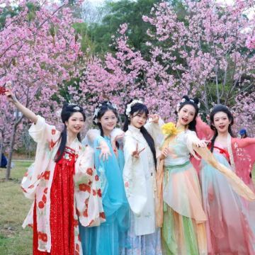 肇庆七星岩+鼎湖山+古城墙+踏青赏花一日游【私家包团含门票】 肇庆七星岩+鼎湖山+古城墙+踏青赏花一日游【私家包团含门票】