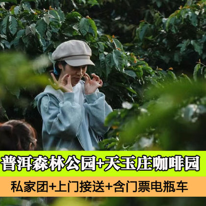 普洱太阳河森林公园+天玉庄咖啡园一日游 普洱太阳河森林公园+天玉庄咖啡园一日游