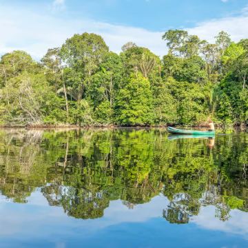 巴西 马瑙斯出发 亚马逊丛林一日游 12人团/丛林徒步 巴西 马瑙斯出发 亚马逊丛林一日游 12人团/丛林徒步