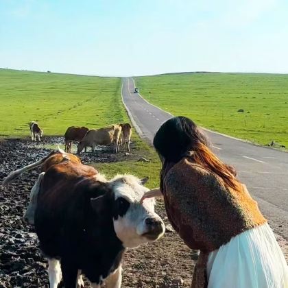 呼和浩特+红石崖国家生态公园+敕勒川草原一日游【空中草原】 呼和浩特+红石崖国家生态公园+敕勒川草原一日游【空中草原】