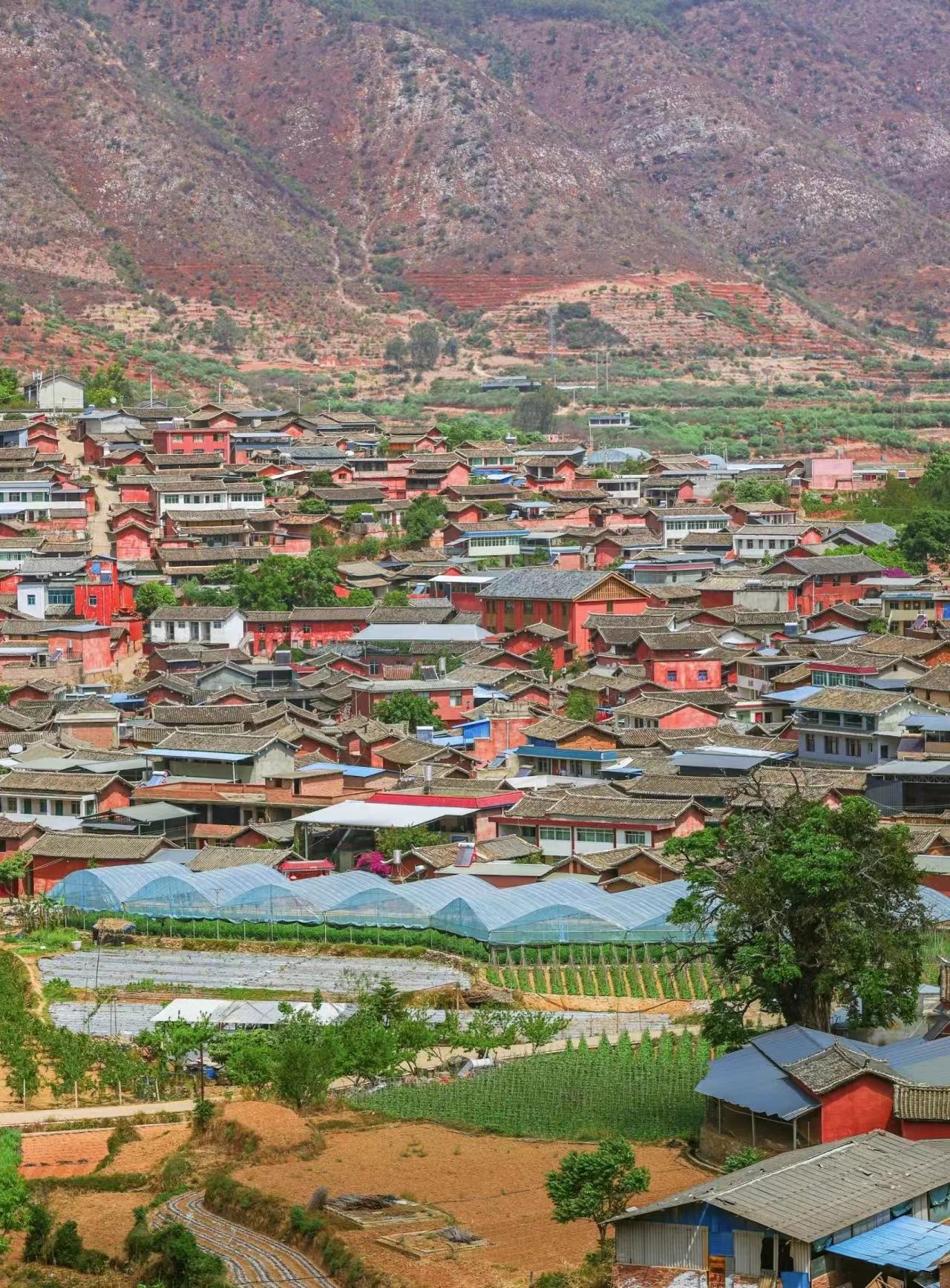 二滩风景区+迤沙拉村+金沙江大峡谷日游【2人起订小包团】 二滩风景区+迤沙拉村+金沙江大峡谷日游【2人起订小包团】