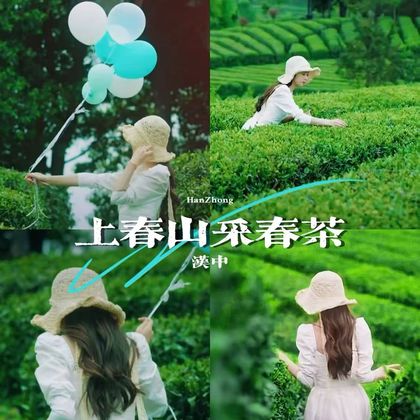 【上春山采春茶】醉美茶乡茶园深呼吸+骆家坝古镇 【上春山采春茶】醉美茶乡茶园深呼吸+骆家坝古镇