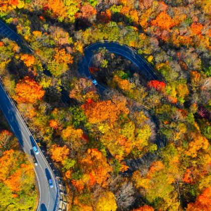 日本日光东照宫+中禅寺湖一日游:伊吕波山道/华严瀑布/东京发 日本日光东照宫+中禅寺湖一日游:伊吕波山道/华严瀑布/东京发