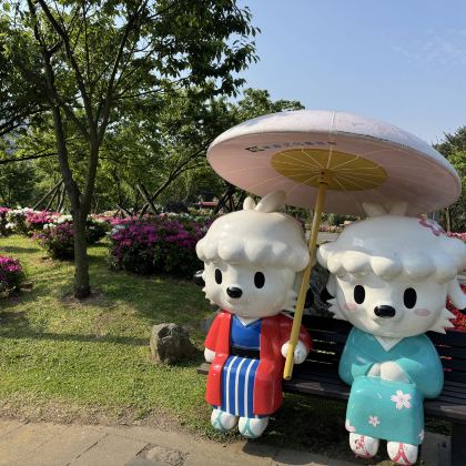 探索阳明山&北投一日游(中英导览 I 西门町出发) 探索阳明山&北投一日游(中英导览 I 西门町出发)