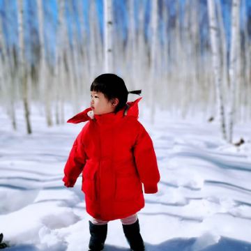 漠河+龙江第一湾+白桦林+北红村+北极村一日游【独立包车】 漠河+龙江第一湾+白桦林+北红村+北极村一日游【独立包车】