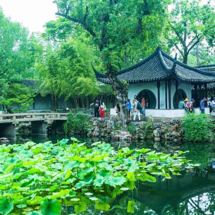 【经典纯玩团】苏州拙政园+寒山寺+游船+周庄一日游 【经典纯玩团】苏州拙政园+寒山寺+游船+周庄一日游