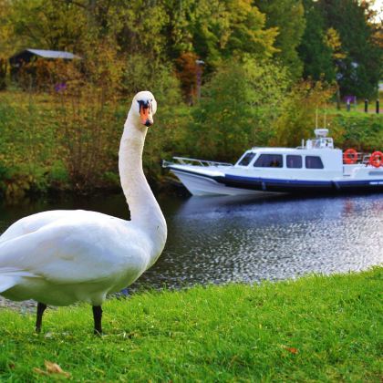 爱丁堡出发12h包车苏格兰高地一日游/格伦科峡谷+尼斯湖水怪 爱丁堡出发12h包车苏格兰高地一日游/格伦科峡谷+尼斯湖水怪