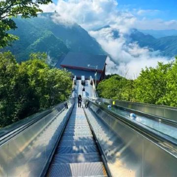 【官方直通车-踏春】汉中龙头山一日游【高铁站直达】 【官方直通车-踏春】汉中龙头山一日游【高铁站直达】