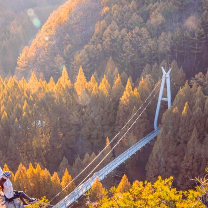 韩国长泰山秋季限定赏枫+树木园+圣心堂一日游 (首尔出发) 韩国长泰山秋季限定赏枫+树木园+圣心堂一日游 (首尔出发)