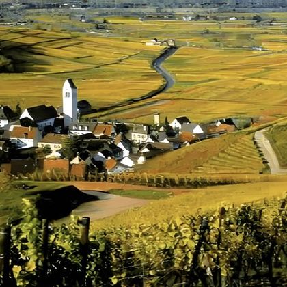 美国旧金山+ 纳帕山谷Napa-可定制【中文专车-舒适纯净】 美国旧金山+ 纳帕山谷Napa-可定制【中文专车-舒适纯净】