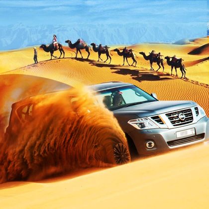 迪拜沙漠保护区一日游