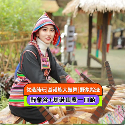 西双版纳野象谷+基诺山寨一日游 西双版纳野象谷+基诺山寨一日游