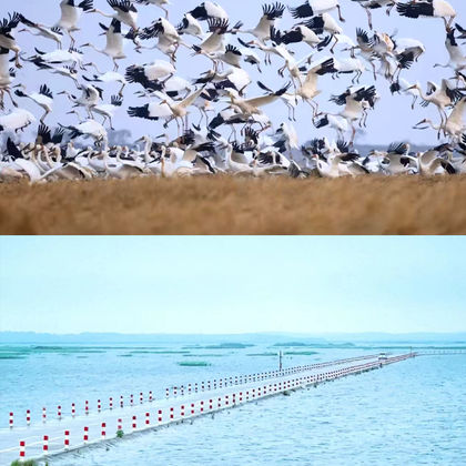 鄱阳湖国家湿地公园一日游 鄱阳湖国家湿地公园一日游