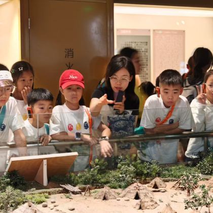 甘肃省博物馆半日游【大笙说·深度讲解/含耳麦/可选代约套餐】 甘肃省博物馆半日游【大笙说·深度讲解/含耳麦/可选代约套餐】