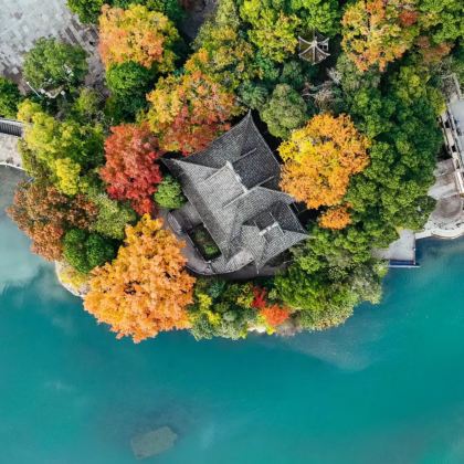 宁波蒋氏故居半日游【含蒋氏故居联票 人工解说2小时 赠耳麦】 宁波蒋氏故居半日游【含蒋氏故居联票 人工解说2小时 赠耳麦】