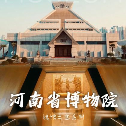 郑州河南博物院|含门票 2小时深度讲解|可选独立团 郑州河南博物院|含门票 2小时深度讲解|可选独立团