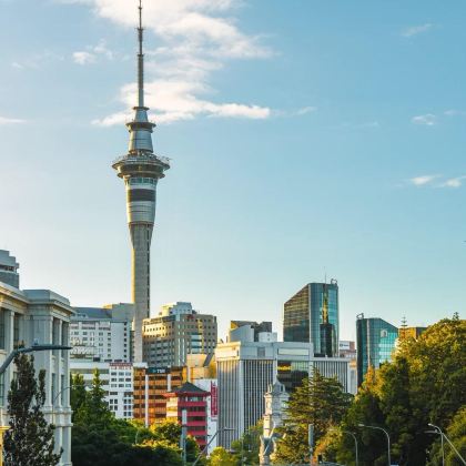 新西兰凯利塔顿海底世界+天空塔+鲸鱼海豚之旅【可定制行程】 新西兰凯利塔顿海底世界+天空塔+鲸鱼海豚之旅【可定制行程】