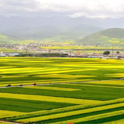 赠骑马藏服体验◆巴士团含早餐◆卓尔山+祁连草原+岗什卡一日游 赠骑马藏服体验◆巴士团含早餐◆卓尔山+祁连草原+岗什卡一日游