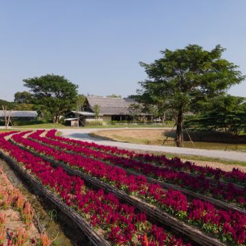 曼谷出发丨大城咖啡馆、寺庙和画廊船屋之旅 曼谷出发丨大城咖啡馆、寺庙和画廊船屋之旅