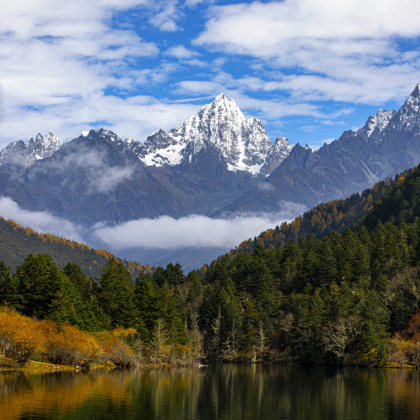 自贡包车地陪导游翻译地接陪同接送旅游展会商务考察陪诊 自贡包车地陪导游翻译地接陪同接送旅游展会商务考察陪诊