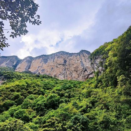 日本+仙台+藏王狐狸村+行程可调( 上门接送) 日本+仙台+藏王狐狸村+行程可调( 上门接送)
