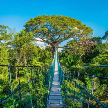 秘鲁 伊基托斯出发 探索亚马逊丛林一日游 亚马逊野生动物园 秘鲁 伊基托斯出发 探索亚马逊丛林一日游 亚马逊野生动物园